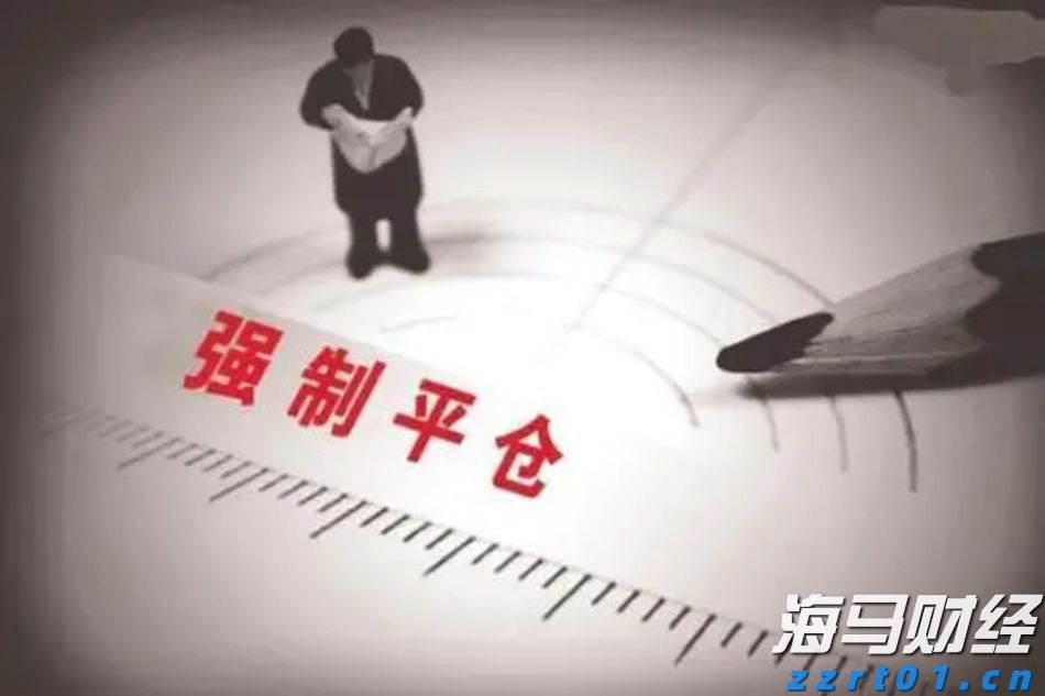 盖棺论定网