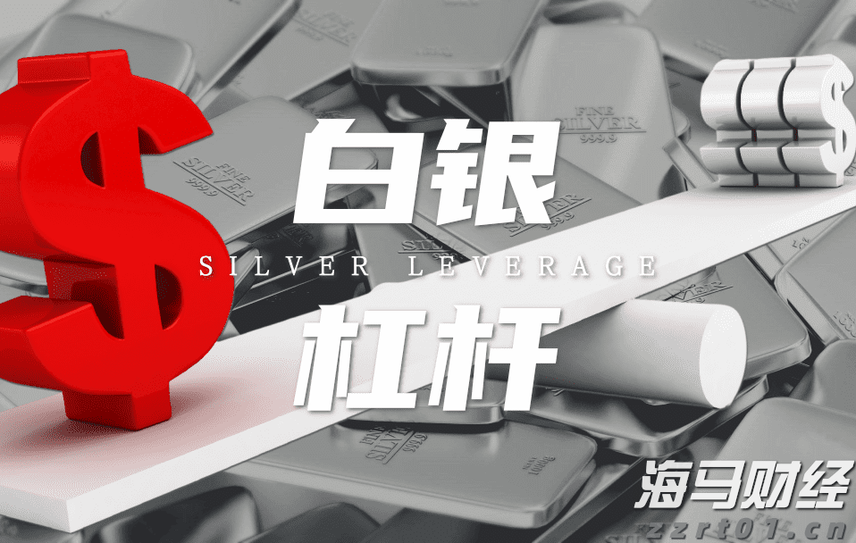 盖棺论定网