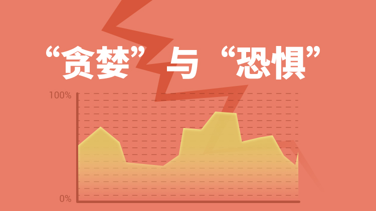盖棺论定网